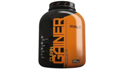 rivalus clean gainer